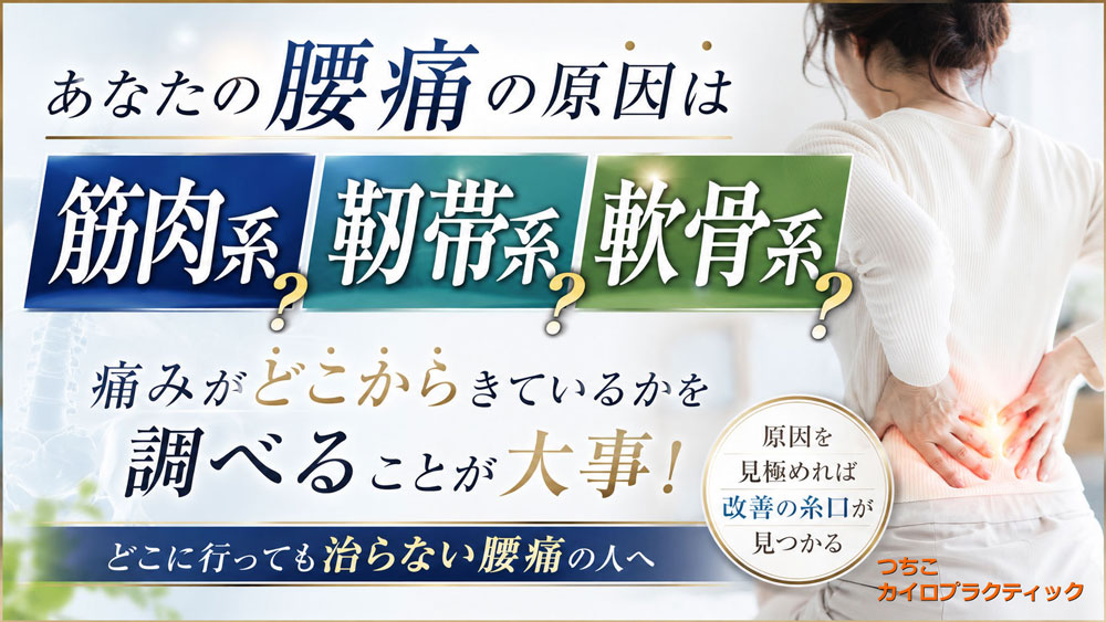 腰痛の原因は？